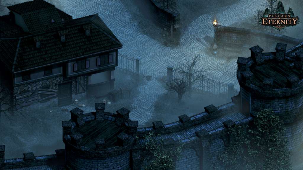 Pillars of Eternity Hero Edition (EUROPE - all countries)
